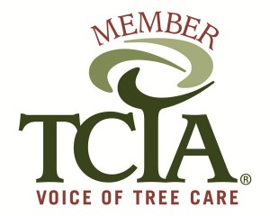 TCIA member Hollinger Tree Service serving Stark, Summit, & Carroll County