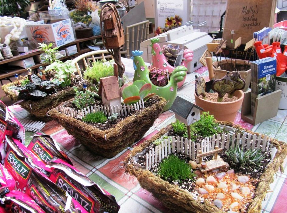 Learn to make a miniature garden of your own!