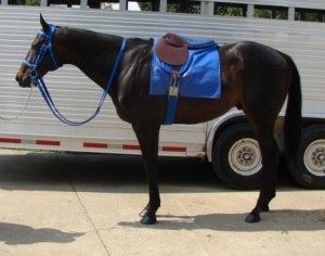 racehorsestuff_pic2