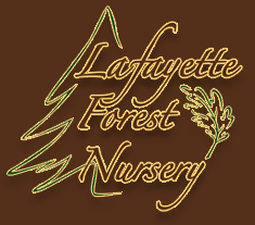 Lafayette Forest Nursery_Logo