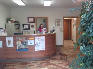 Belpar Pet Care Centre_Front Desk