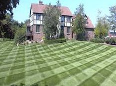 FourM Property_Lawn2