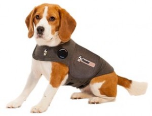 Uniontown Vet Clinic_Thundershirt